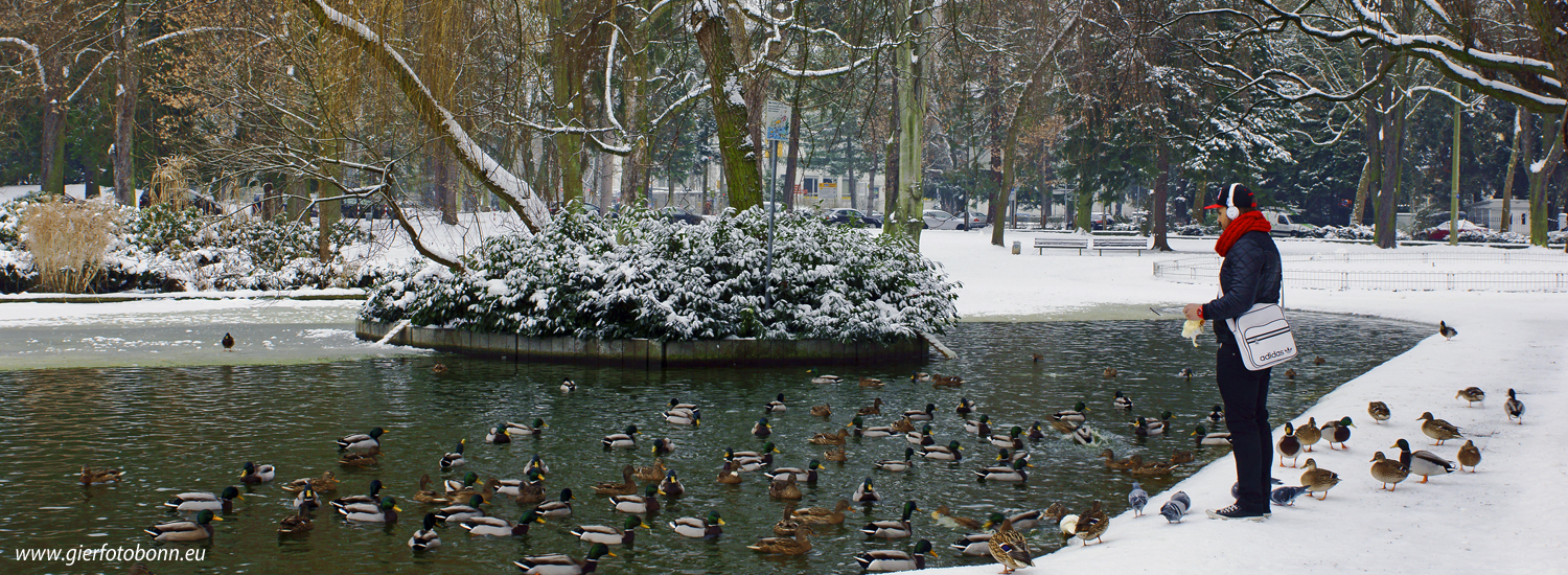 bonn-godesberg-stadtpark-im-winter-2_web